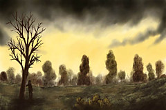 Obraz na stenu ZS - bez pomeru strán